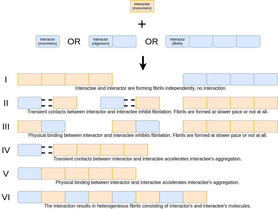 Terms And Definitions AmyloGraph